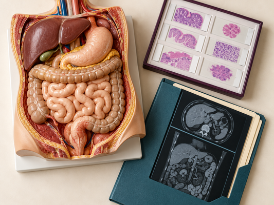 AI educational illustration, not a diagnostic image or original study figure: Specialised Assessment
