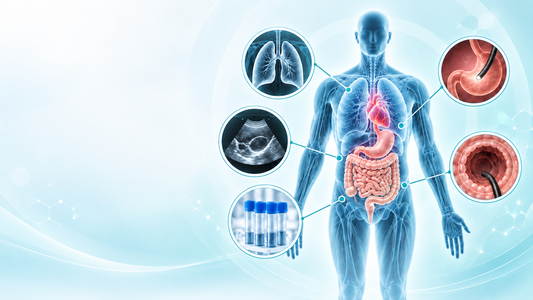 Essential health screening medical atlas showing lungs heart digestive tract ultrasound and laboratory testing