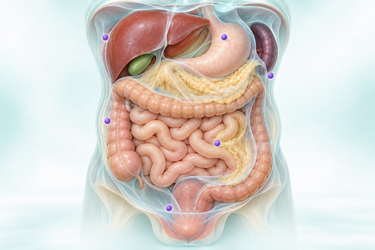AI educational illustration: Abdominal anatomy with schematic markers illustrating peritoneal disease distribution.