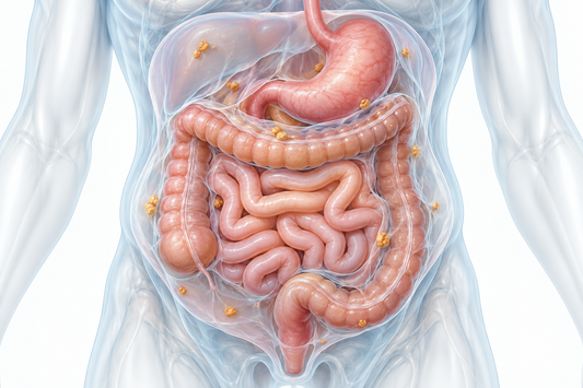 AI-generated educational illustration: abdominal organs and peritoneal surfaces with illustrative nodules.