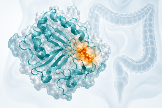 AI-generated educational illustration: Conceptual signalling protein with colorectal context.