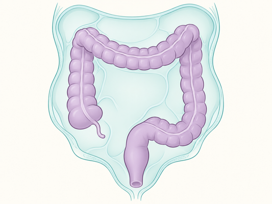 Colorectal and peritoneal focus — AI-generated educational illustration.