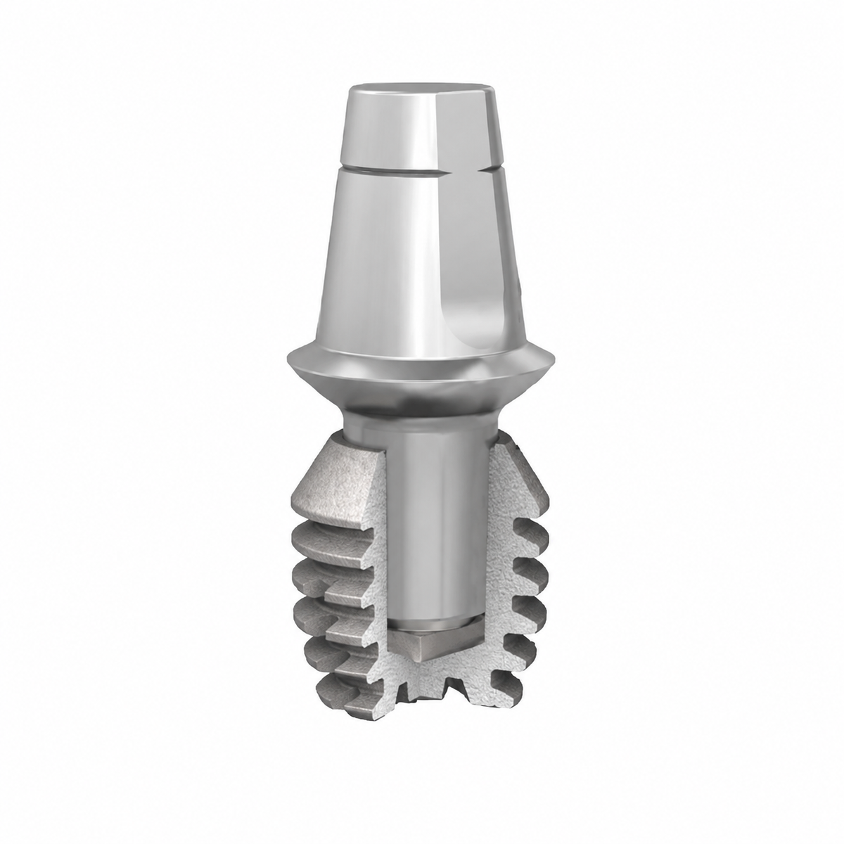 Bicon short implant and abutment, white background