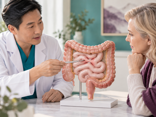 AI educational illustration: Chinese clinician explaining bowel surgery using an anatomical model to a Western patient.
