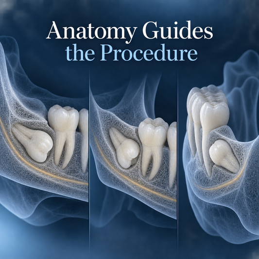 Anatomy Guides the Procedure. Educational illustration.