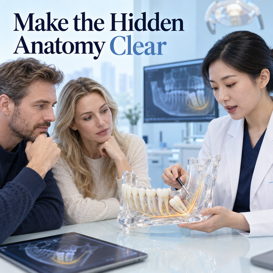 Make the Hidden Anatomy Clear. Educational illustration.