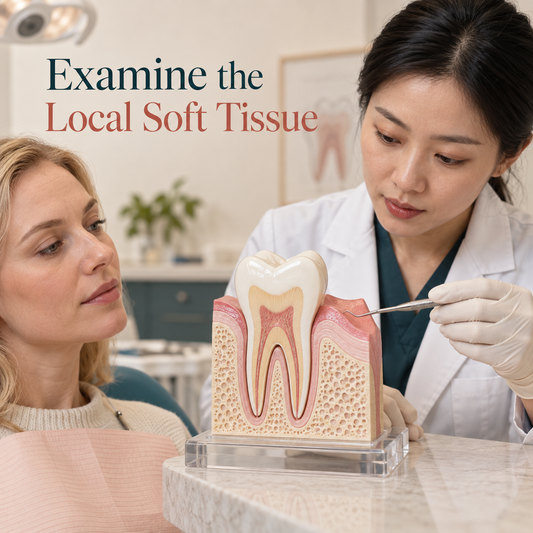 Examine the Local Soft Tissue. Educational illustration.