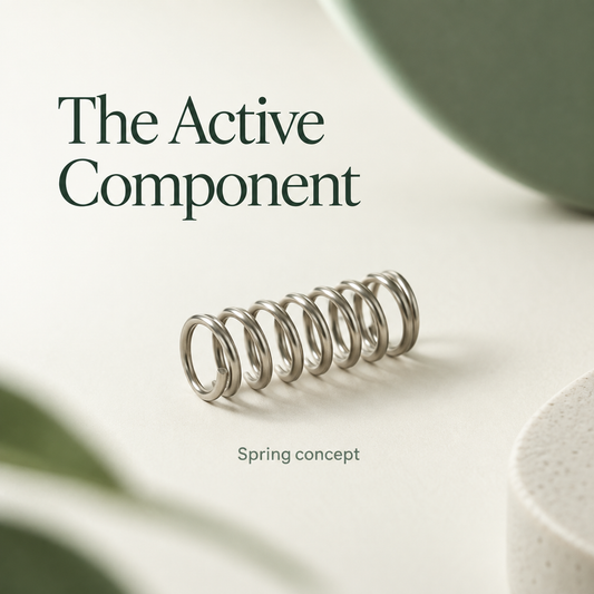 The spring is an active component concept. Educational illustration.