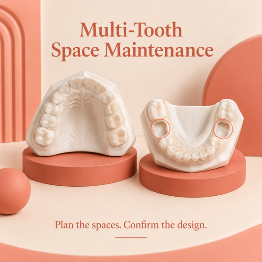 A teaching model highlights spaces after early primary-tooth loss. Educational illustration.