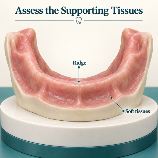 The ridge and surrounding soft tissues provide support. Educational illustration.