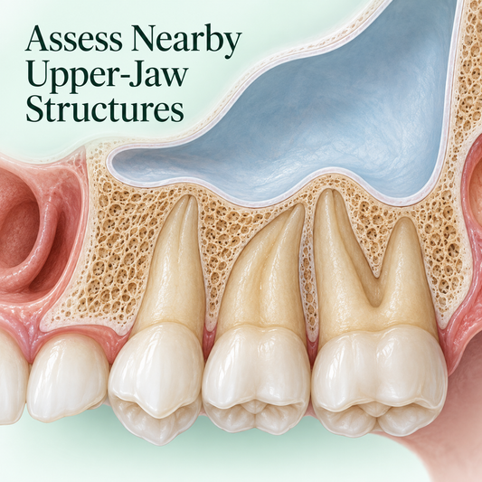 Assess Nearby Upper-Jaw Structures. Educational illustration.