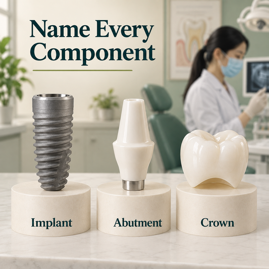 Implant, abutment and crown are separate components. Educational illustration.